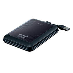 BUFFALO TECHNOLOGY (USA) INC. Buffalo 320GB MiniStation DataVault USB 2.0 Portable Hard Drive