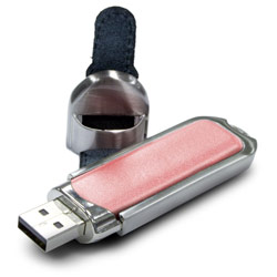 Centon Electronics Centon 8GB DataStick Designer USB Flash Drive Pink