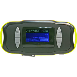 Nextar MA593 1GB Flash MP3 Player - FM Tuner, FM Recorder, Voice Recorder - 1GB Flash Memory - LCD