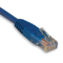 Tripp Lite Cat6a/Cat6/Cat5e/Cat5/Network 100-ft. Blue Cat5e 350MHz Molded Patch Cable