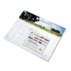 At-A-Glance 2008 DayMinder® Vista Views Landscape Monthly Desk Pad, 22 x 17