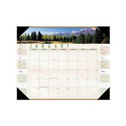 At-A-Glance 2008 Panoramic Landscape Monthly Desk Pad Calendar, 22 x 17