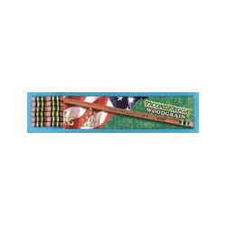 Dixon Ticonderoga Co. Ticonderoga Pencils, #2 Soft Lead, Woodgrain, Dozen