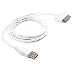 BoxWave Corporation Apple iPod nano 4th Generation DirectSync Cable (White)