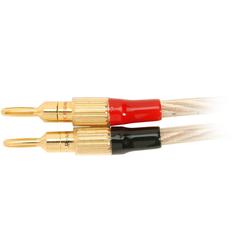 Acoustic Research Audiovox Master Series Speaker Cable - 30ft