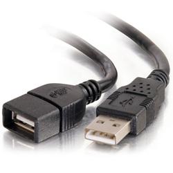 CABLES TO GO Cables To Go USB Extension Cable - 1 x Type A USB - 1 x Type A USB - 9.84ft - Black