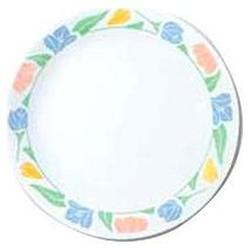 Corelle Friendship Pattern 10 1/4 Inch Dinner Plate