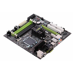 XFX GeForce 9300 GLA 775 Motherbrd