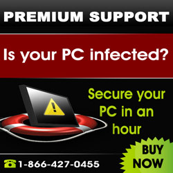 Sutherland Global Services PC Virus & Spyware Cleaner Service - Protect your PC