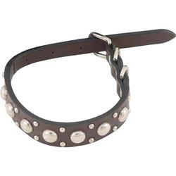 PetEdge US561-11-12 Leather Collar