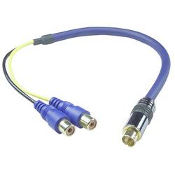 QVS CSV2RCAF 12-Inch Premium S-Video Male to 2 Female Adapter Cable