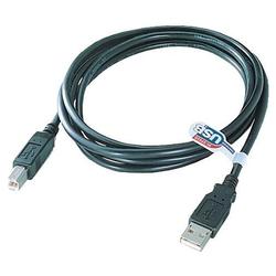 QVS USB 2.0 Cable - 1 x Type A USB - 1 x Type B USB - 10ft - Black