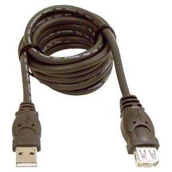 QVS USB 2.0 Extension Cable - 1 x Type A USB - 1 x Type A USB - 10ft - Black