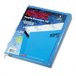 Esselte Pendaflex Corp. 9-Section Hanging File, A-Z Tabs & Blank Labels, 3-1/2 Capacity, Letter, Blue (ESS59225)