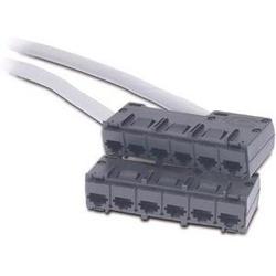 AMERICAN POWER CONVERSION APC Cat5e CMR Data Distribution Cable - 6 x RJ-45 - 6 x RJ-45 - 15ft - Gray