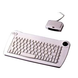 ADESSO Adesso ACK-573PW Wireless Mini Keyboard - PS/2, PS/2 - QWERTY - 89 Keys - White