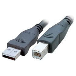 Accell Adesso Premium Series USB 2.0 Cable - 1 x Type A - 1 x Type B USB - 6ft