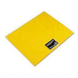 Wausau Papers Astrobrights Premium Poster Board, 22 x 28, Solar Yellow™, 24 Per Carton (WAU22053)
