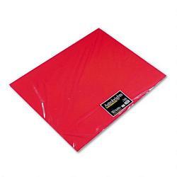 Wausau Papers Astrobrights Premium Poster Board, 22x28, Re-Entry Red™, 24 Per Carton (WAU22051)