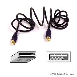 BELKIN COMPONENTS Belkin Gold Series USB Extension Cable - 1 x Type A - 1 x Type A - 6ft - Black