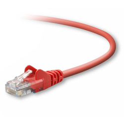 BELKIN - CABLES Belkin RJ45 CAT5e Patch Cable, Snagless Molded