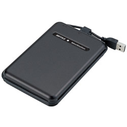 BUFFALO TECHNOLOGY (USA), INC. Buffalo 300GB USB 2.0 MiniStation Turbo Portable External Hard Drive