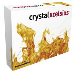 Business Objects Crystal Xcelsius v.4.5 Professional - Complete Product - Standard - 1 User - PC