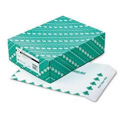 Quality Park Products Catalog Envelopes, White, Gummed, First Class Border, 28-lb., 10 x 13, 100/Box (QUA54383)