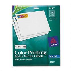 Avery-Dennison ColorInk Jet Labels, Matte White, Rectangle, 3/4 x2-1/4 , WE (AVE08257)