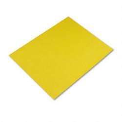 Riverside Paper Colored 4-Ply Poster Board, 22 x 28, Lemon Yellow, 25 Boards/Carton (RIV04227)