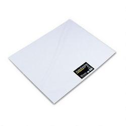 Wausau Papers Astrobrights Premium Poster Board, 22 x 28, Bright White, 48 Per Carton (WAU70619)