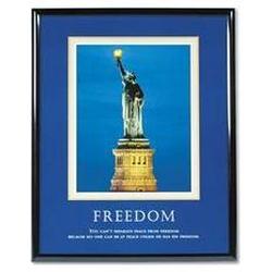 Advantus Corporation Framed Freedom Motivational Print, 24w x 30h, Black Frame (AVT78040)