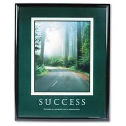 Advantus Corporation Framed Success Motivational Print, 24w x 30h, Black Frame (AVT78004)