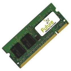 FUTURE MEMORY SOLUTIONS Future Memory 256MB DDR SDRAM Memory Module - 256MB (1 x 256MB) - 333MHz DDR333/PC2700 - DDR SDRAM - 200-pin (MPG4/256DS333)