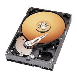 Western Digital Corporation Hard Drive Disk, 80 GB, 7200RPM (WDCHDD80)
