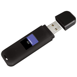 LINKSYS GROUP INC. Linksys Dual-Band Wireless-N USB Network Adapter