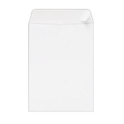 Sparco Products Peel/Seal Envelope, Plain, 28Lb, 10 x13 , 100/BX, White (SPR00907)