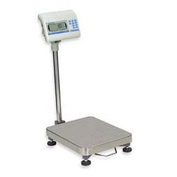 SALTER BRECKNELL WEIGHING PRODUCTS Raised Indicator Bench or Floor Scale, 300-lb x 0.1b. Capacity (SBWS122300)