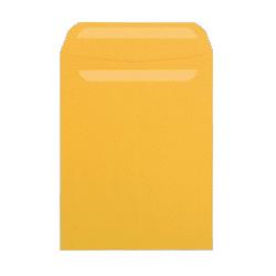Sparco Products Self Sealing Envelope, Plain, 28Lb, 9 x12 , 250/BX, Kraft (SPR19810)