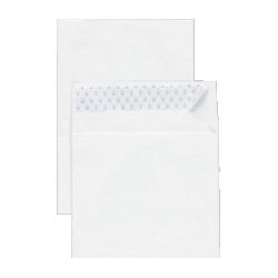 Sparco Products Tyvek Envelopes, Plain, 10 x15 , 100/BX, White (SPR25002)