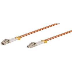 V7G ACESSORIES V7 Fiber Optic Patch Cable - 2 x LC - 2 x LC - 16.4ft