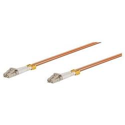 V7 CABLES V7 Fiber Optic Patch Cable - 2 x LC - 2 x LC - 6.56ft
