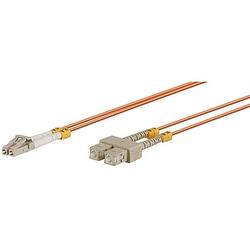 V7G ACESSORIES V7 Fiber Optic Patch Cable - 2 x LC - 2 x SC - 16.4ft