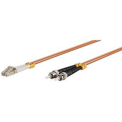 V7G ACESSORIES V7 Fiber Optic Patch Cable - 2 x LC - 2 x ST - 16.4ft