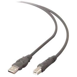 V7G ACESSORIES V7 USB 2.0 Device Cable - 1 x Type A USB - 1 x Type B USB - 16ft
