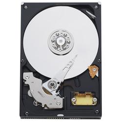 WESTERN DIGITAL Western Digital Caviar Hard Drive - 500GB - - Serial ATA - Internal Hard Drive - OEM