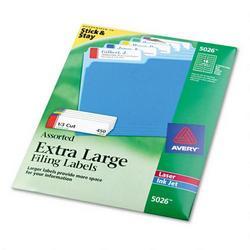 Avery-Dennison Extra Large Filing Labels, 15/16 x3-7/16 , 450/Pack, Assorted (AVE05026)