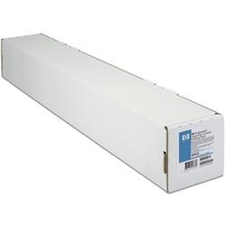 HEWLETT PACKARD HP Professional Matte Canvas - 42 x 50'' - 430g/m - Matte - 1 x Roll
