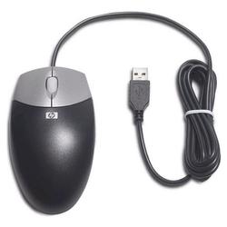 HEWLETT PACKARD HP USB Optical Scroll Mouse - Optical - USB - Carbonite