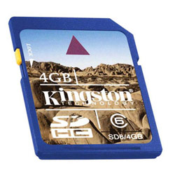 Kingston 4GB Secure Digital High Capacity Card (Class 6) - 4 GB